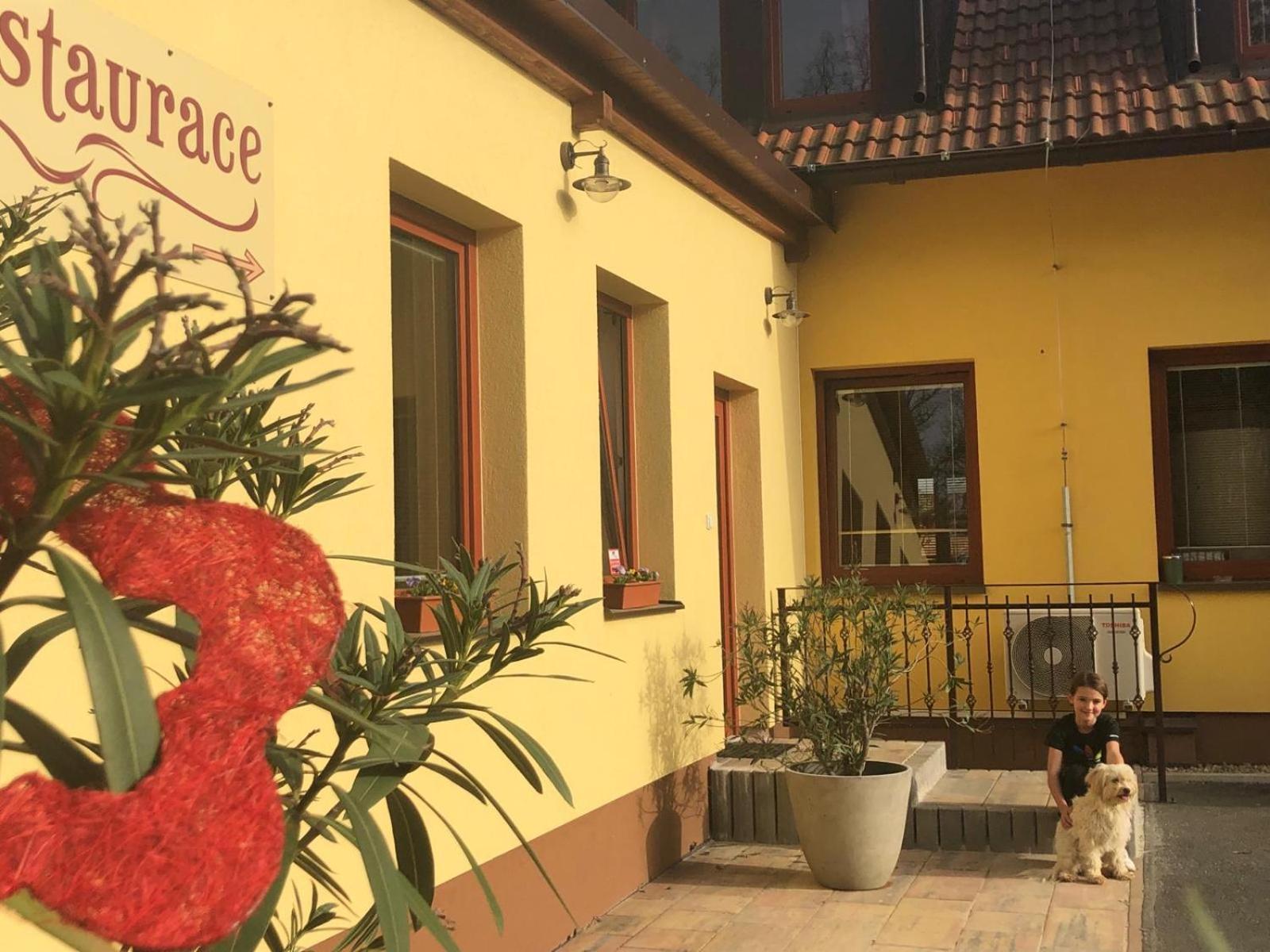 Penzion A Restaurace Zlatovlaska U Zamku Cervena Lhota Jizna Zewnętrze zdjęcie